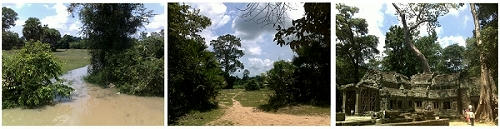 20090822800.jpg