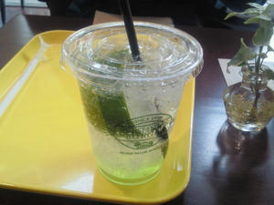 201101291510000.jpg