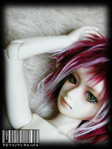 bel-003
