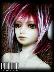 bel-005