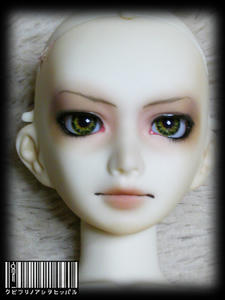bel-009