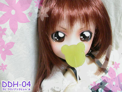 DDH04_05