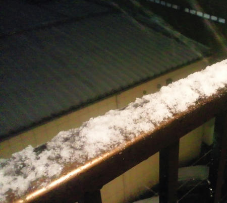 かなり積もってます
