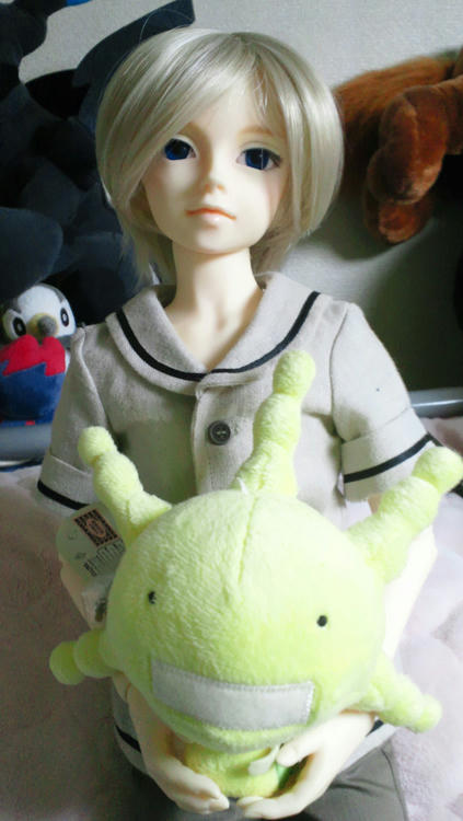 お久しぶりです