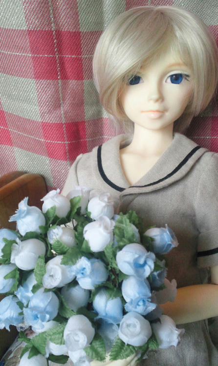 綺麗でしょう？