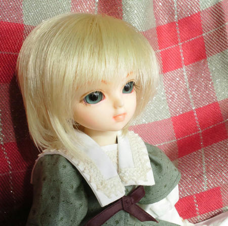 シュテルンのお気に入り？