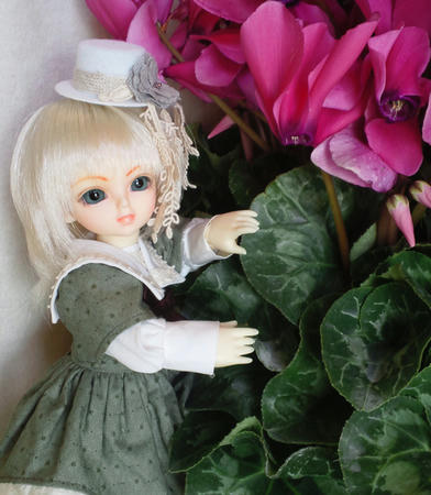 葉っぱ、多いよ～