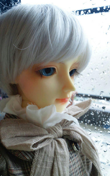 逆光気味