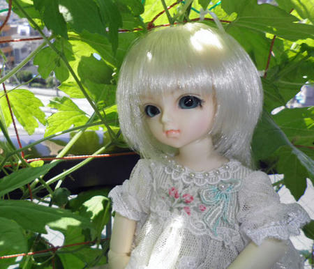 大きい葉っぱだね?