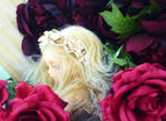 Doll_101106_72.JPG