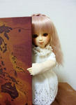 Doll_home_11_01.JPG