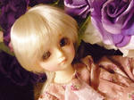 110212_sumika_03.JPG
