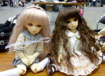 dorupa_25_040.JPG
