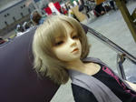 dorupa_25_043.JPG