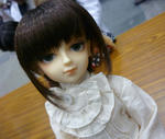 dorupa_25_069.JPG