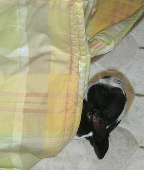 zzz