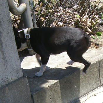 どこ行くの？