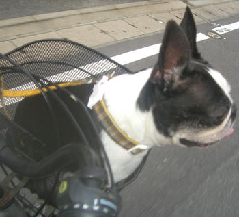 送り迎えつき