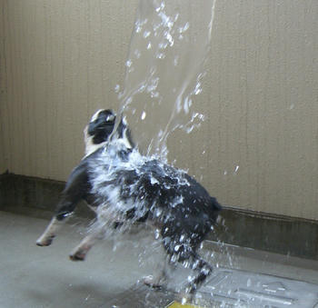 水遊び