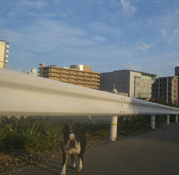 今日もいい天気