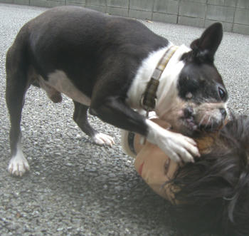 こうしてやる～