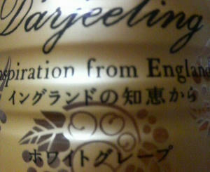世界のKitchenから