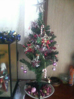 クリスマスツリー（朝）