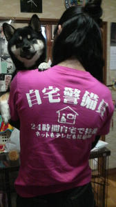 休日のみ自宅警備員