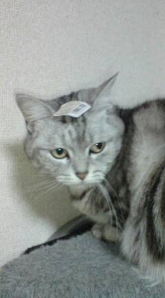20100418232734.jpg