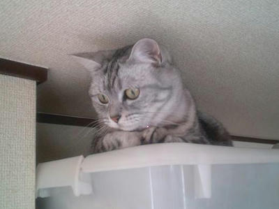 20100615155523.jpg