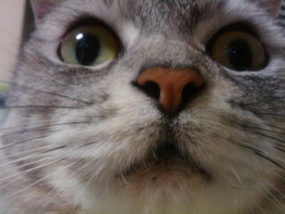 20100706215355.jpg