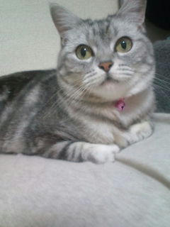 20100708195658.jpg