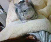 20100708195430.jpg