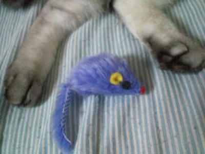 20100913200913.jpg
