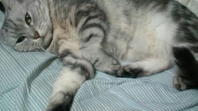 20101005214012.jpg