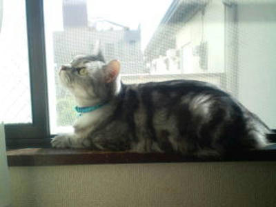 20101003092030.jpg