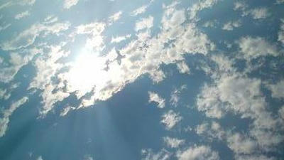 20101007081737.jpg