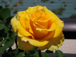 DSCN0975_1.JPG