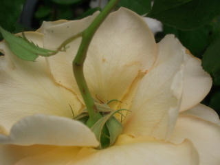 DSCN1022.jpg