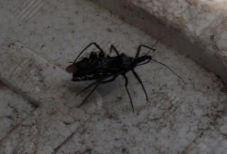 DSCN1112.JPG