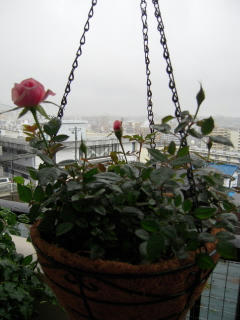 DSCN1347.JPG