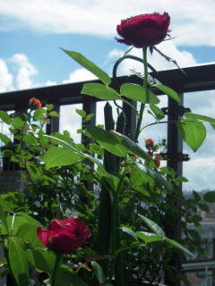 DSCN1830.JPG