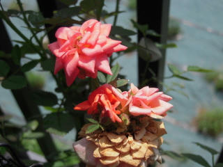 DSCN2068.JPG