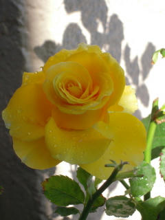 DSCN2324.JPG