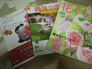 DSCN2909.jpg