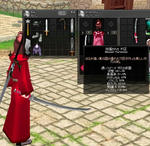 mabinogi_2008_01_10_002.jpg