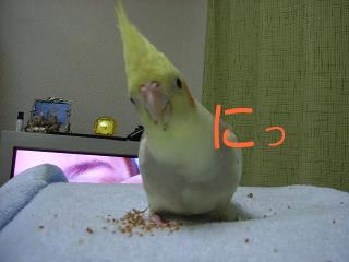 やっぱ雄だった