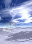 snow002.jpg