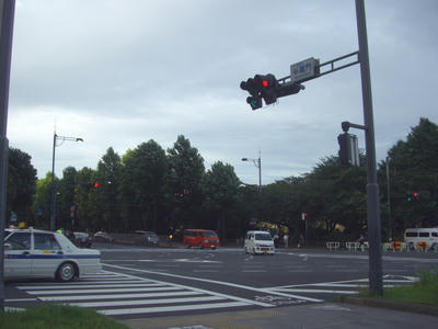 12.jpg
