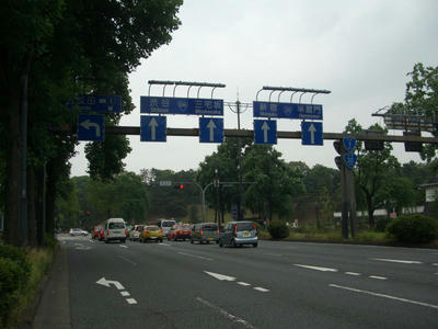 R1-21.jpg